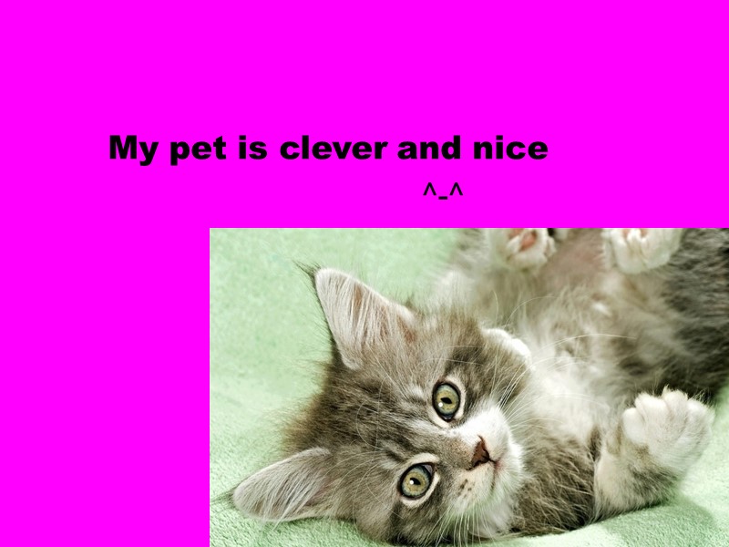 My pet is clever and nice        